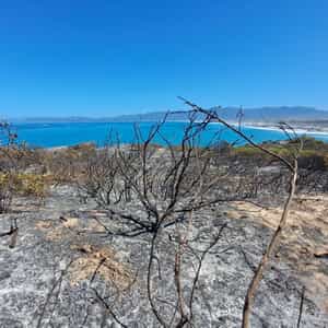 WhatsApp_Image_2025_11_24_at_11.19.48_1763977630