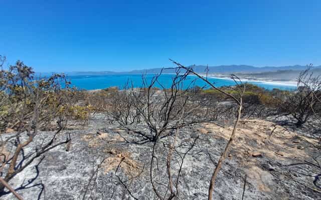 WhatsApp_Image_2025_11_24_at_11.19.48_1763977630