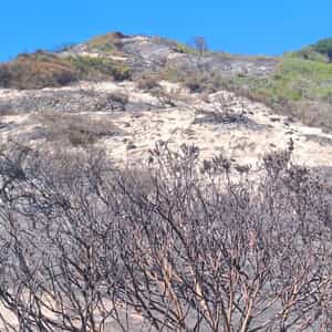 WhatsApp_Image_2025_11_24_at_11.19.48_1_1763977631