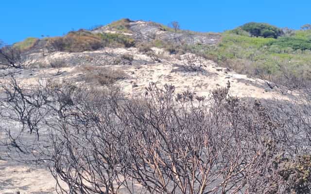 WhatsApp_Image_2025_11_24_at_11.19.48_1_1763977631