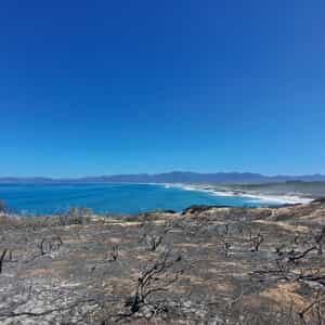 WhatsApp_Image_2025_11_24_at_11.19.49_1_1763977631