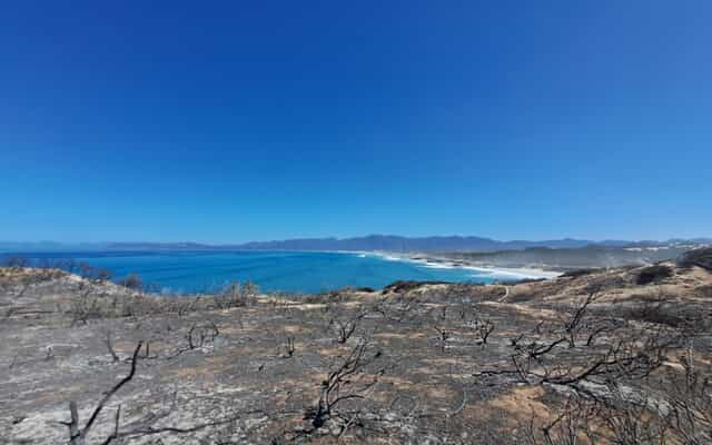 WhatsApp_Image_2025_11_24_at_11.19.49_1_1763977631