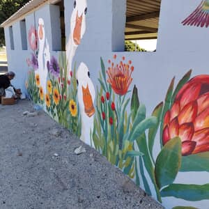 588325711_122214740966283540_4810834157516282192_n_1764052390