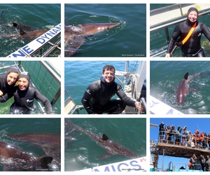 Daily Blog: 24 November 2025 | Shark Cage Diving in South Africa