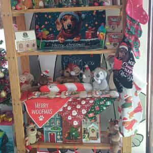 WhatsApp_Image_2025_11_25_at_09.30.07_1764059002