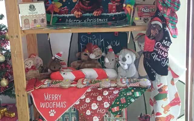 WhatsApp_Image_2025_11_25_at_09.30.07_1764059002