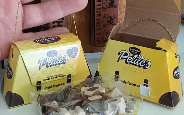 WhatsApp_Image_2025_11_25_at_09.30.08_1_1764059003