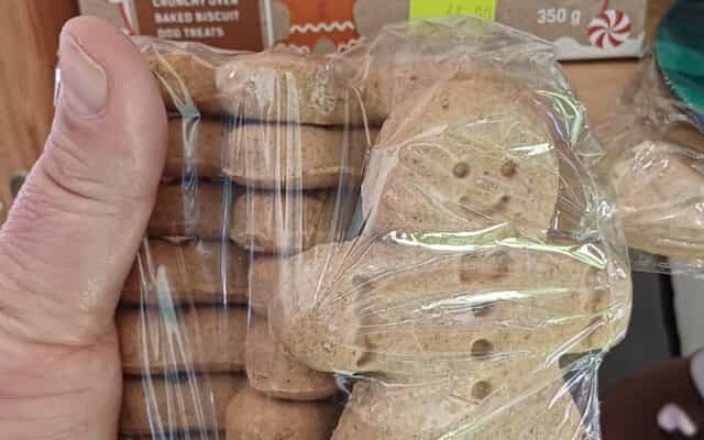 WhatsApp_Image_2025_11_25_at_09.30.08_2_1764059003