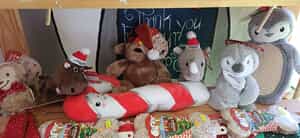 Spoil Your Pets This Christmas at The Pet Grocer!