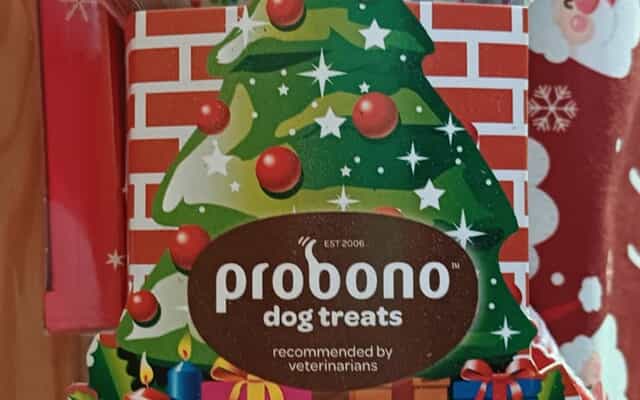 WhatsApp_Image_2025_11_25_at_09.30.10_1_1764059005