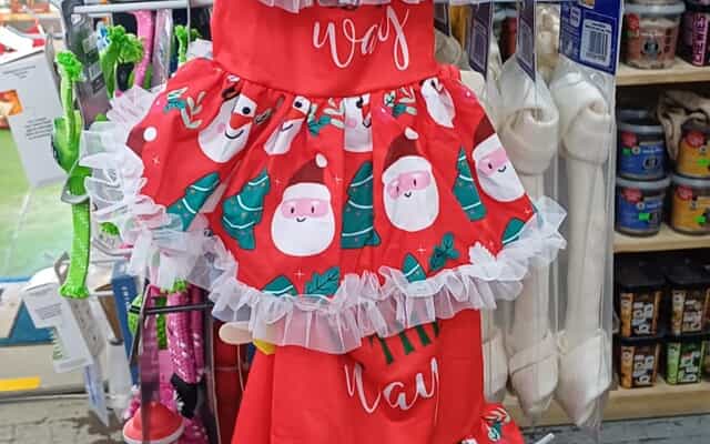 WhatsApp_Image_2025_11_25_at_09.30.11_1764059004