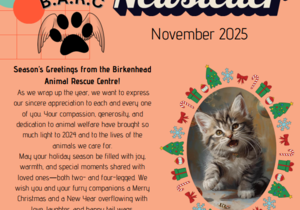 BARC Animal Welfare November Newsletter Highlights