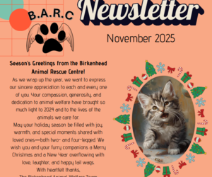 BARC Animal Welfare November Newsletter Highlights