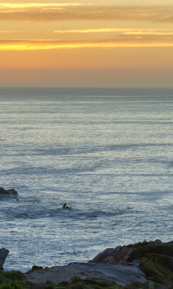 Walker_Bay_Villa_044_1764070144