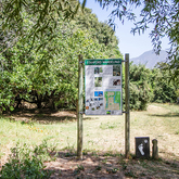 Walking Path - Reed Cottage - Xplorio™ Stanford