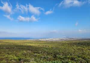 Grootbos Fire Update