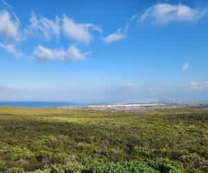 Grootbos Fire Update