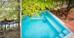 The House Is Still Open for the Weekend of 19 December!