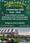 5 December 2025: Christmas Lights Festival