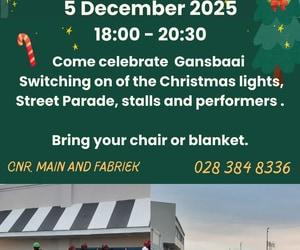 5 December 2025: Christmas Lights Festival