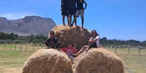 WhatsApp_Image_2025_12_05_at_08.19.57_1764917834