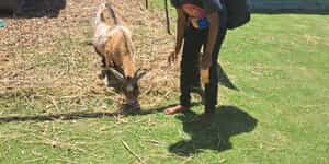 WhatsApp_Image_2025_12_05_at_08.20.09_1764917833