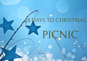 18 Days to Christmas: Picnic