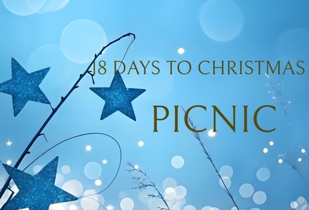 18 Days to Christmas: Picnic
