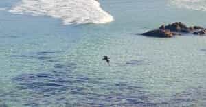 Discover Our Beautiful Backyard