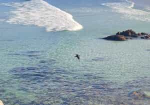 Discover Our Beautiful Backyard