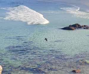 Discover Our Beautiful Backyard