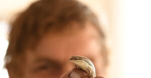 Mike Fabricius in Action