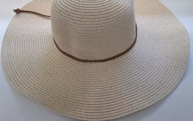 309f81a7_68df_4eed_a940_a8b3fc61f448_1765436701 309f81a7_68df_4eed_a940_a8b3fc61f448_1765436701