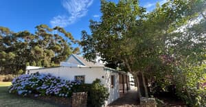 Summer Holidays at Paardenberg Farm!