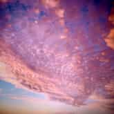 Photo Credit: Daleen Stikling - Pearly Beach Ratepayers - Xplorio™ Gansbaai