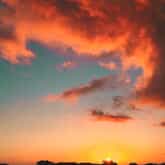 Photo Credit: Daleen Stikling - Pearly Beach Ratepayers - Xplorio™ Gansbaai