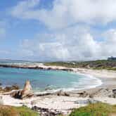 Photo Credit: Daleen Stikling - Pearly Beach Ratepayers - Xplorio™ Gansbaai