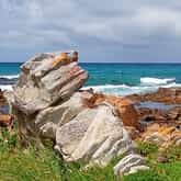 Photo Credit: Daleen Stikling - Pearly Beach Ratepayers - Xplorio™ Gansbaai