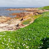 Photo Credit: Daleen Stikling - Pearly Beach Ratepayers - Xplorio™ Gansbaai