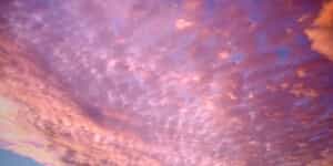 WhatsApp_Image_2025_12_11_at_13.27.50_1_1765525278