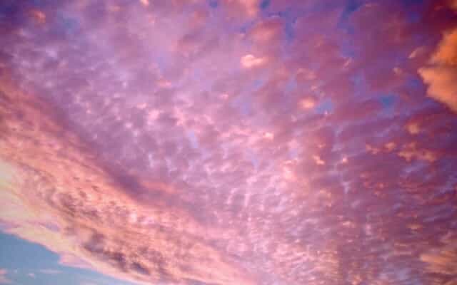 WhatsApp_Image_2025_12_11_at_13.27.50_1_1765525278 WhatsApp_Image_2025_12_11_at_13.27.50_1_1765525278