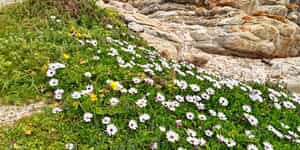 WhatsApp_Image_2025_12_11_at_13.42.41_1_1765525276