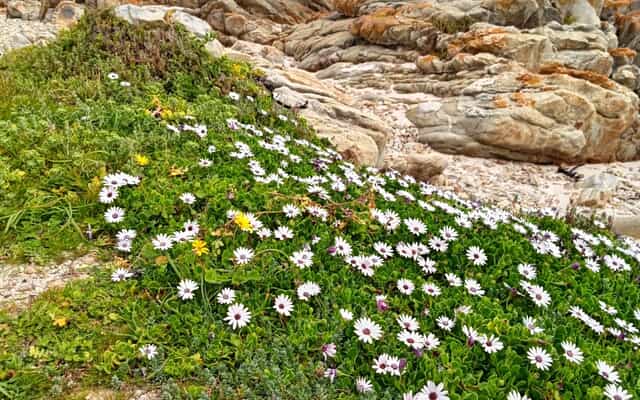 WhatsApp_Image_2025_12_11_at_13.42.41_1_1765525276 WhatsApp_Image_2025_12_11_at_13.42.41_1_1765525276