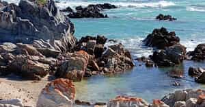 Pearly Beach is Ready for the Festive Season!