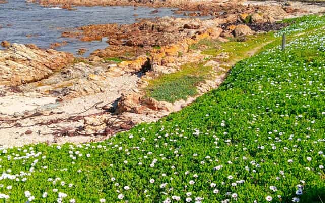 WhatsApp_Image_2025_12_11_at_13.49.04_1_1765525275 WhatsApp_Image_2025_12_11_at_13.49.04_1_1765525275