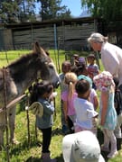 A Holiday Treat for the Whole Family!