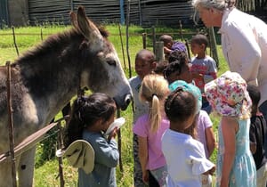 A Holiday Treat for the Whole Family!