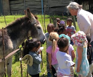 A Holiday Treat for the Whole Family!