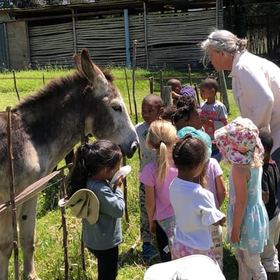 A Holiday Treat for the Whole Family!