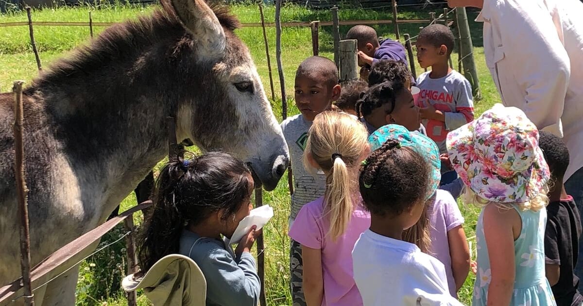 Visitears A Holiday Treat for the Whole Family! - EARS Donkey Sanctuary - Xplorio ...